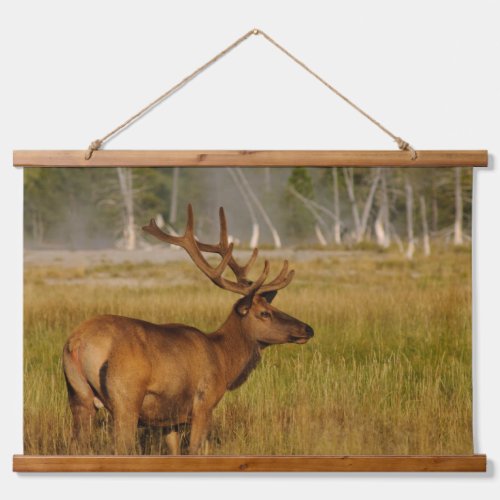 Rocky Mountain Elk  Yellowstone National Park Hanging Tapestry