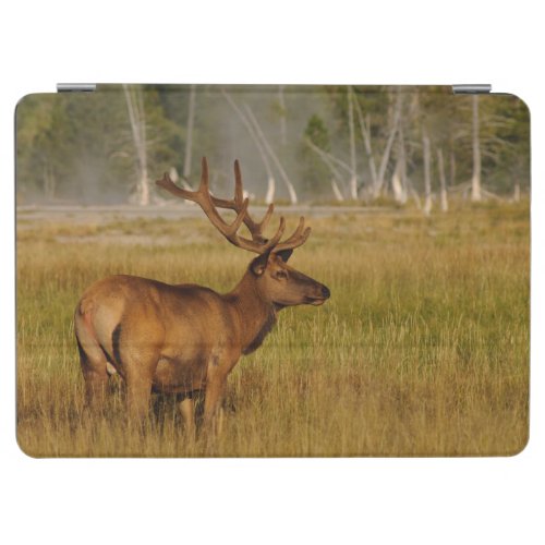 Rocky Mountain Elk  Yellowstone National Park iPad Air Cover