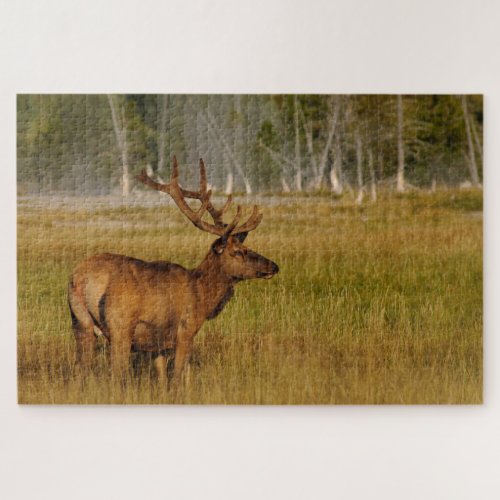 Rocky Mountain Elk  Yellowstone National Park Jigsaw Puzzle