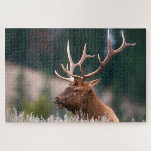 Rocky Mountain Elk Yellowstone National Park Jigsaw Puzzle