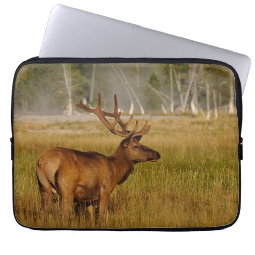 Rocky Mountain Elk  Yellowstone National Park Laptop Sleeve