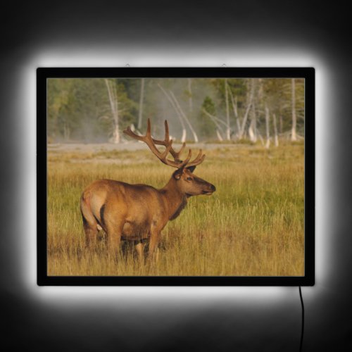 Rocky Mountain Elk  Yellowstone National Park LED Sign