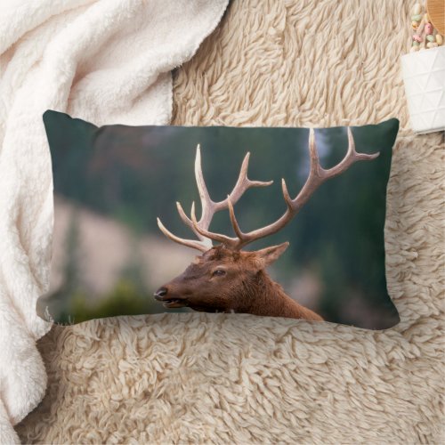 Rocky Mountain Elk Yellowstone National Park Lumbar Pillow