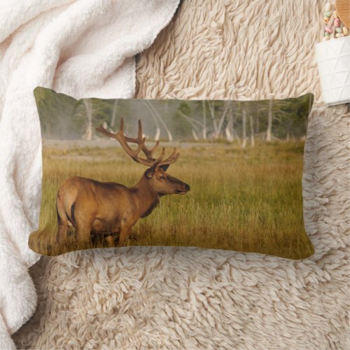 Rocky Mountain Elk  Yellowstone National Park Lumbar Pillow