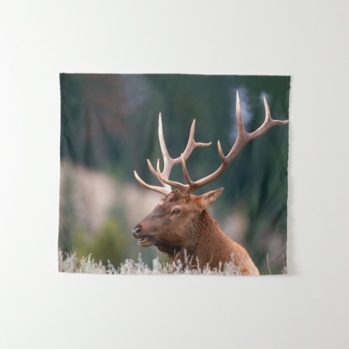 Rocky Mountain Elk Yellowstone National Park Tapestry