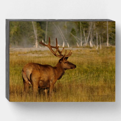 Rocky Mountain Elk  Yellowstone National Park Wooden Box Sign