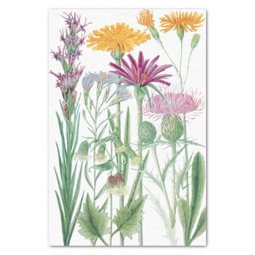 Rocky Mountain Flowers Custom Color Tissue Paper