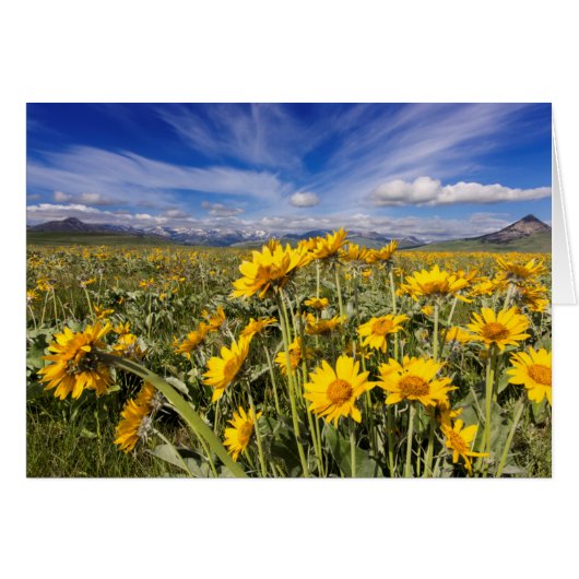 Rocky Mountain Front Range Cards (Front Horizontal)