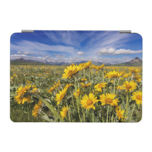 Rocky Mountain Front Range iPad Mini Cover