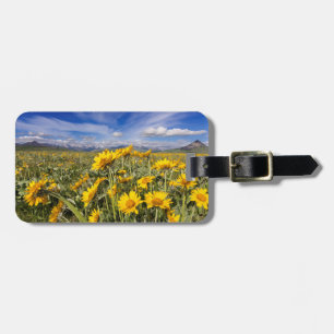 Rocky Mountain Front Range Luggage Tag