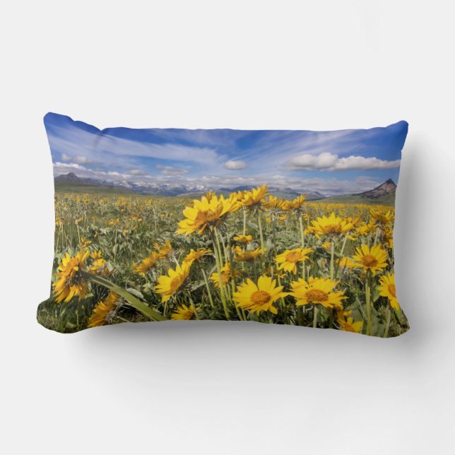 Rocky Mountain Front Range Lumbar Pillow (Front)
