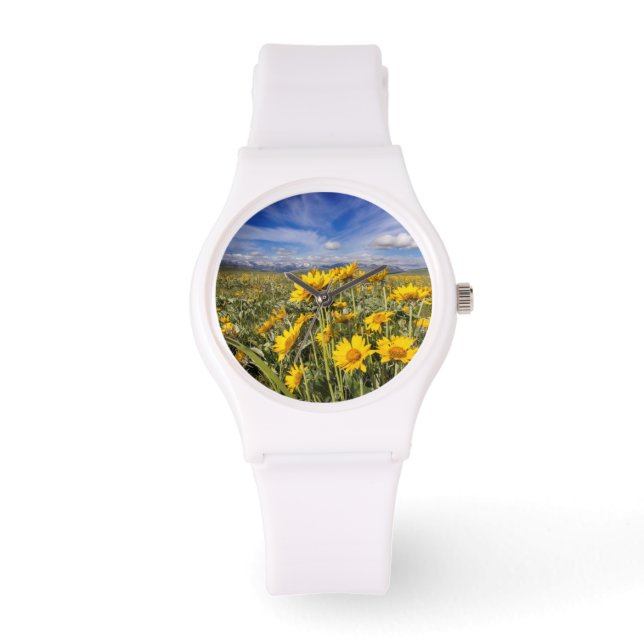 Rocky Mountain Front Range Watch (Front)