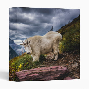 Rocky Mountain Goat 3 Ring Binder