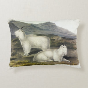 Rocky Mountain Goat (Capra Americana by Audubon Accent Pillow