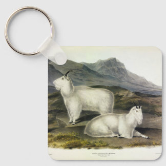 Rocky Mountain Goat (Capra Americana by Audubon Keychain