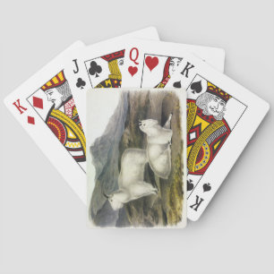 Rocky Mountain Goat (Capra Americana by Audubon Poker Cards
