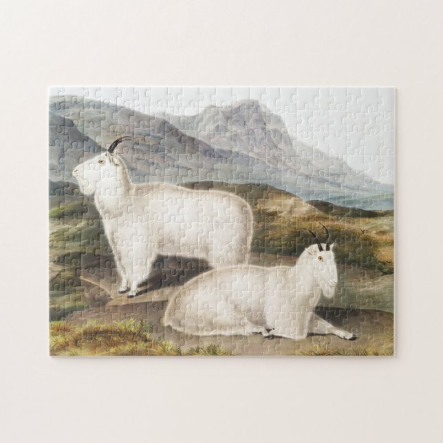 Rocky Mountain Goat (Capra Americana) Illustration Jigsaw Puzzle (Horizontal)