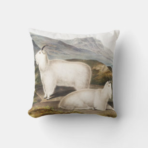 Rocky Mountain Goat (Capra Americana) Illustration Throw Pillow