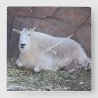 Rocky Mountain Goat Clock
