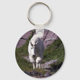 Rocky mountain goat keychain