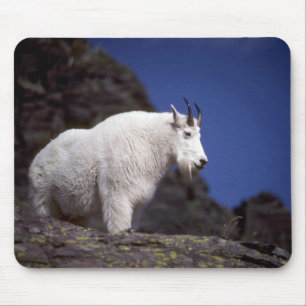 Rocky mountain goat (Large male) Mouse Pad