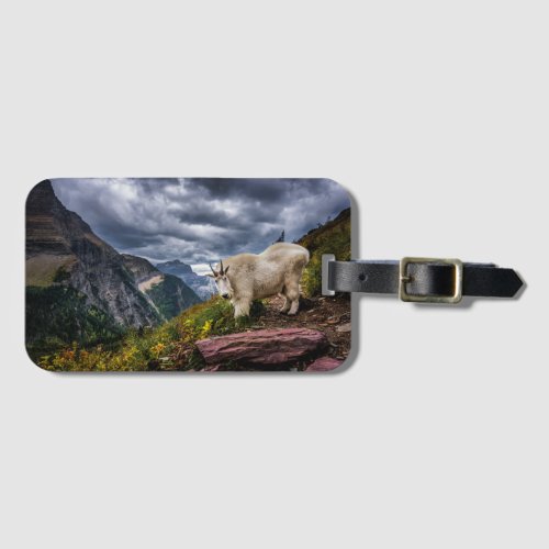 Rocky Mountain Goat Luggage Tag