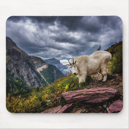 Rocky Mountain Goat Mouse Pad