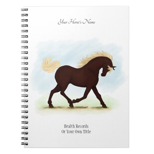 Rocky Mountain Horse Personalized Owner's Journal (Front)