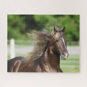 Rocky Mountain Horse Stallion Headshot Jigsaw Puzzle
