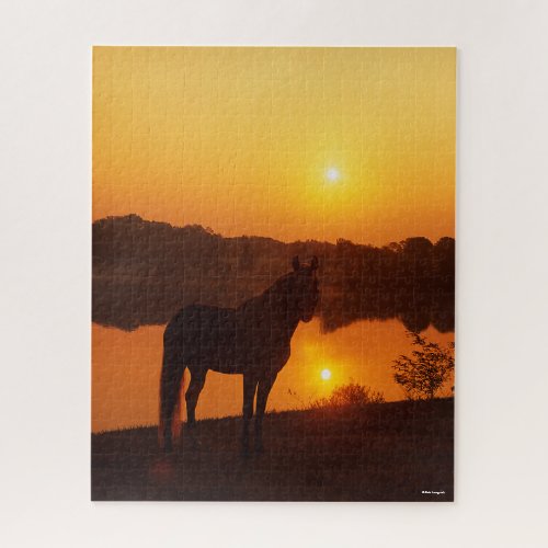 Rocky Mountain Horse Standing in Sunset Jigsaw Puzzle