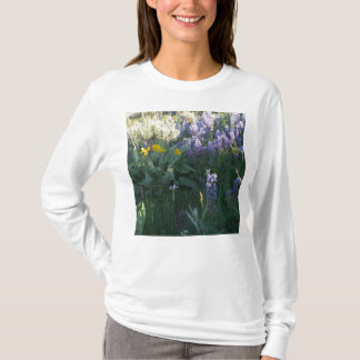 Rocky Mountain Lupine T-Shirt