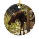 Rocky Mountain Moose Nature Photography Ceramic Ornament