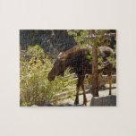 Rocky Mountain Moose Nature Photography Jigsaw Puzzle