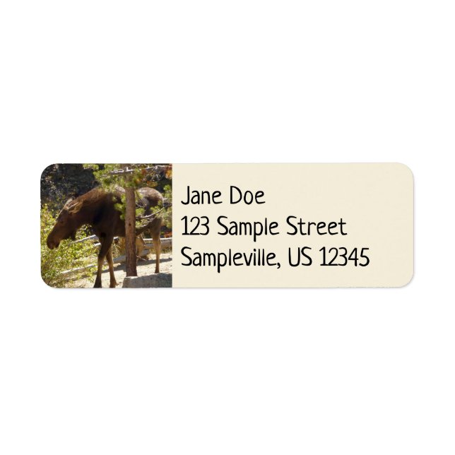 Rocky Mountain Moose Nature Photography Label (Front)