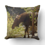 Rocky Mountain Moose Nature Photography Throw Pillow