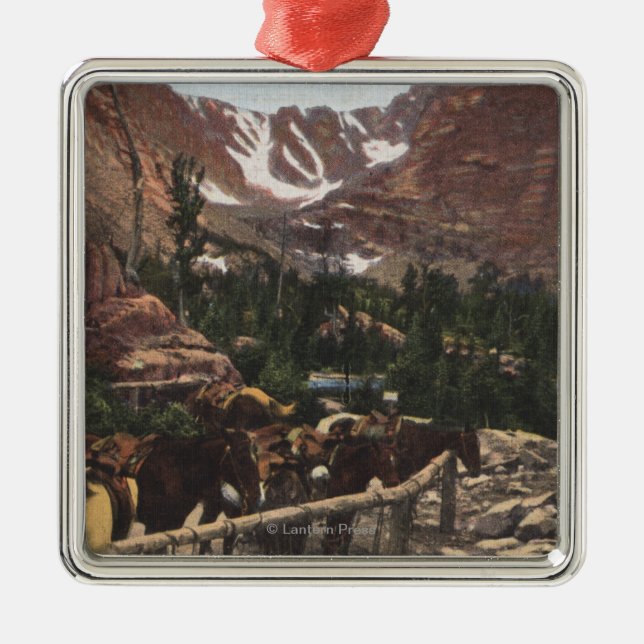 Rocky Mountain National Park, CO Metal Ornament (Front)