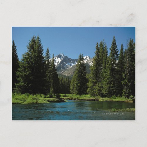 Rocky Mountain National Park  Colorado 2 Postcard