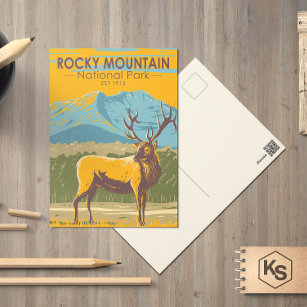 Rocky Mountain National Park Colorado Elk Vintage Postcard