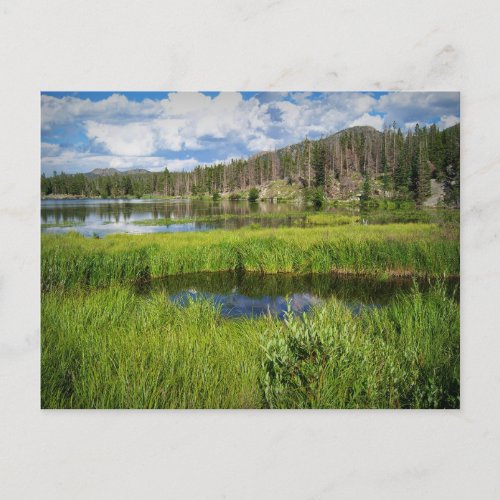 Rocky Mountain National Park Colorado Postcard