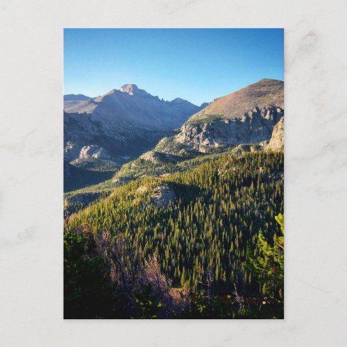 Rocky Mountain National Park Colorado Postcard