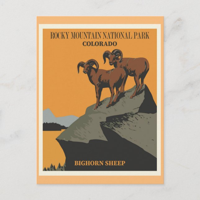 Rocky Mountain National Park  Postcard (Front)