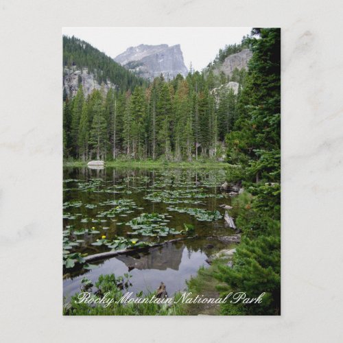 Rocky Mountain National Park Postcard