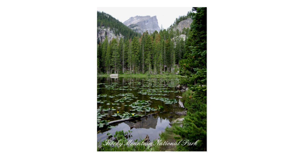 Rocky Mountain National Park Postcard | Zazzle.com