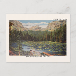 Rocky Mountain National Park Wild Basin Postcard