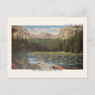 Rocky Mountain National Park Wild Basin Postcard