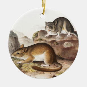 Rocky Mountain Neotoma Mouse (Neotoma Drummondii) Ceramic Ornament