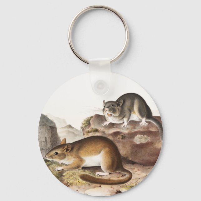 Rocky Mountain Neotoma Mouse (Neotoma Drummondii) Keychain (Front)