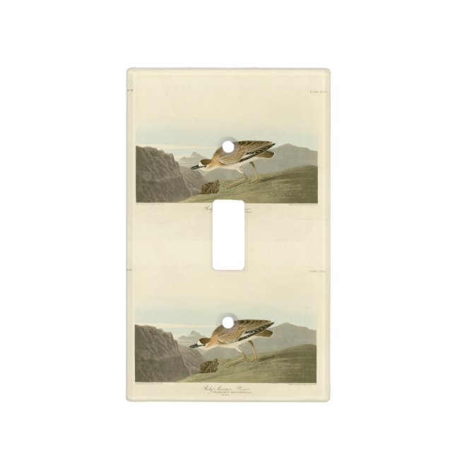 Rocky Mountain Plover - Audubon's Birds of America Light Switch Cover (Front)
