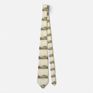 Rocky Mountain Plover - Audubon's Birds of America Neck Tie