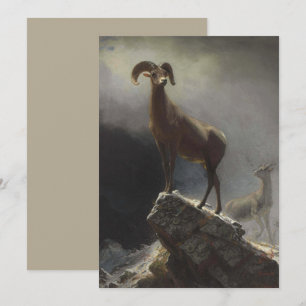 Rocky Mountain Sheep by Albert Bierstadt Holiday Card